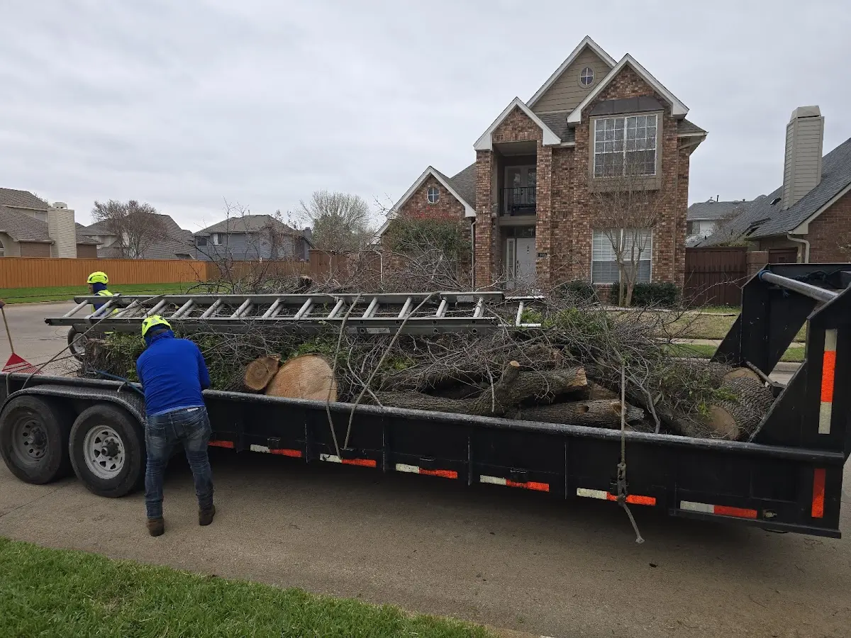 Expert Tree Fertilization with proper safety equipment in Heber